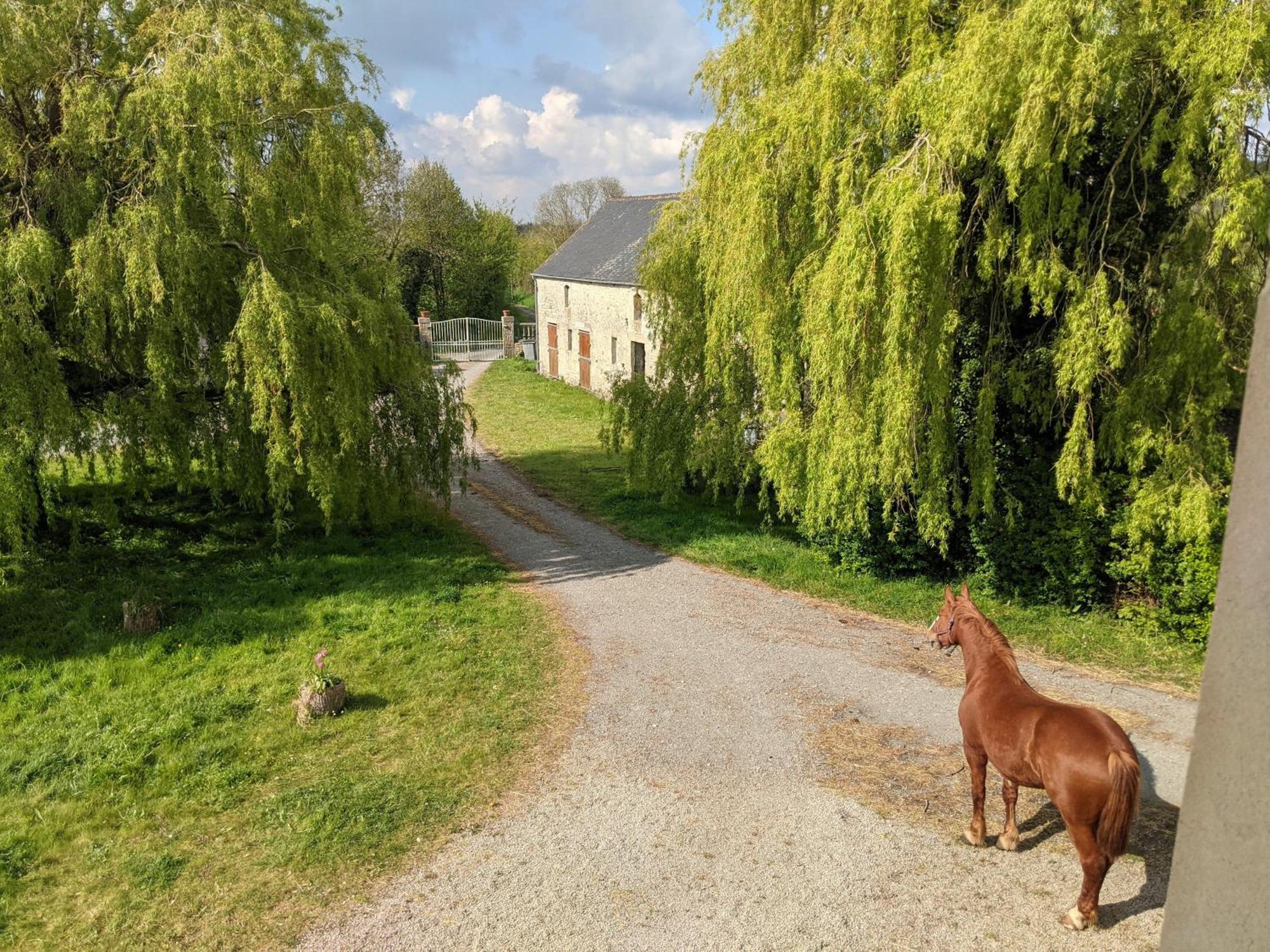 Ferme De Franqueville Sainte-Marie-du-Mont  Exteriör bild